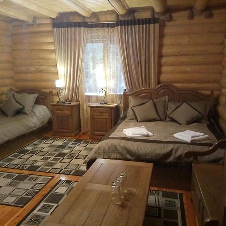 Hotel Арніка Synewyrska Polana Zewnętrze zdjęcie