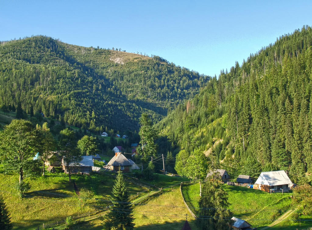 Hotel Арніка Synewyrska Polana Zewnętrze zdjęcie
